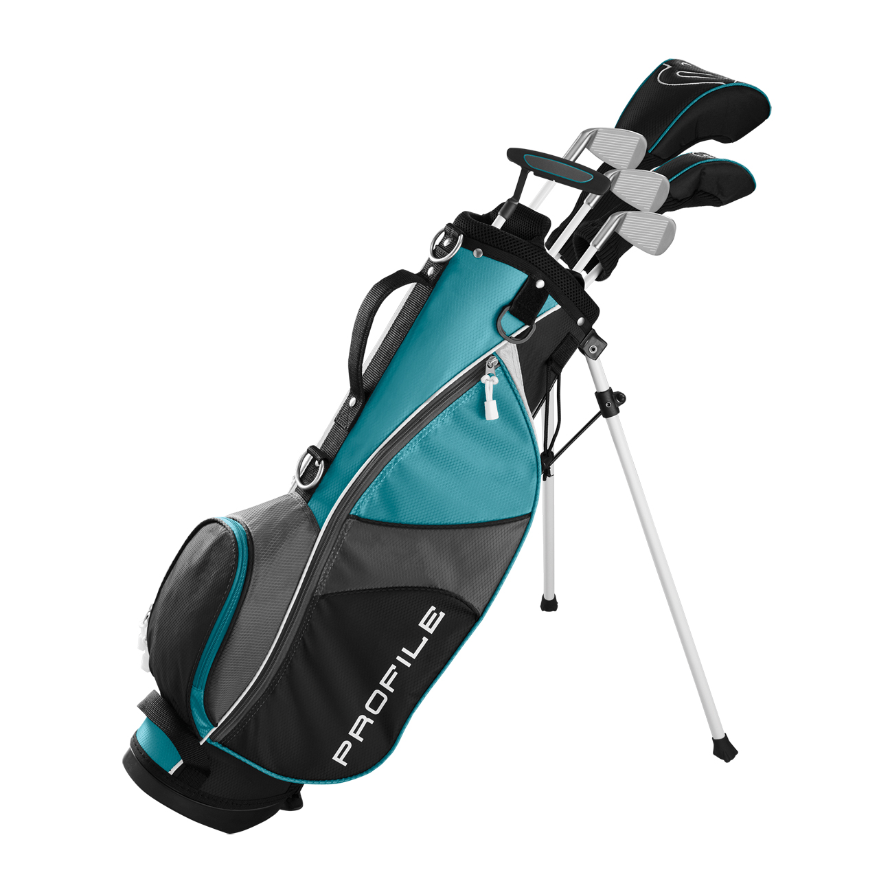 Profile JGI, Large Set, Junior