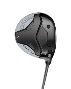 Quantum Max D, FW, Damen