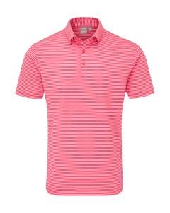 29751:rhapsody_pink_white